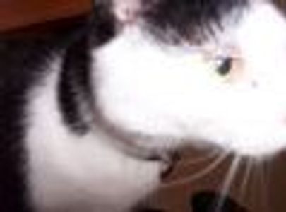 WDBNYC Profile Photo