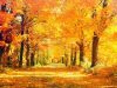 rclocalz Profile Photo