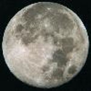 Today4U83 Profile Photo