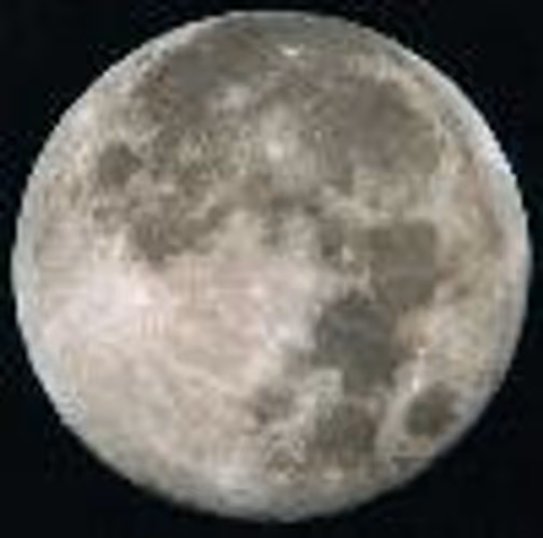Today4U83 profile photo