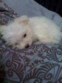 JJenkins Profile Photo