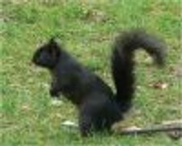 AmyRF25 Profile Photo