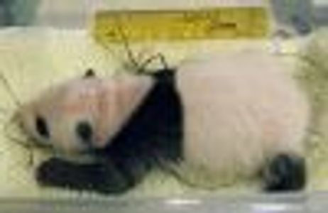butterstick Profile Photo