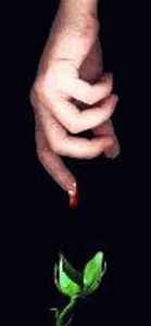 tbrean Profile Photo