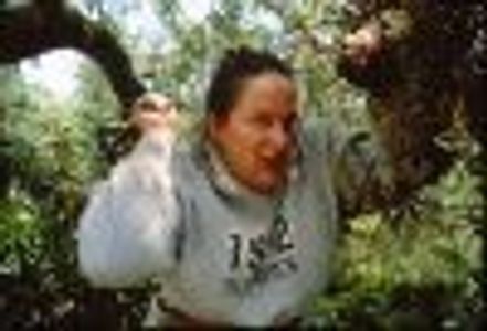 StateOfJade Profile Photo