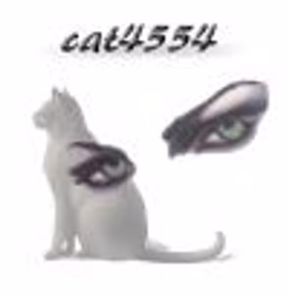 cat4554 profile photo