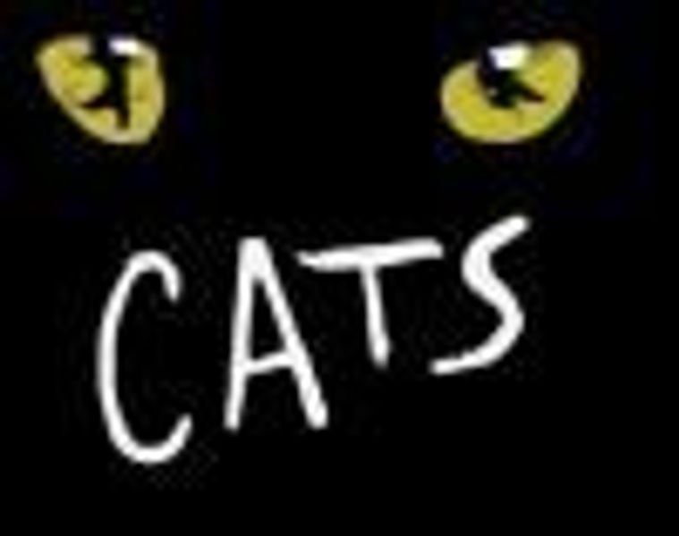SingingCats profile photo