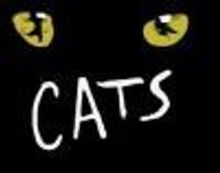 SingingCats Profile Photo
