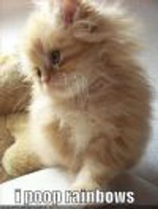 gypsiedtokill Profile Photo