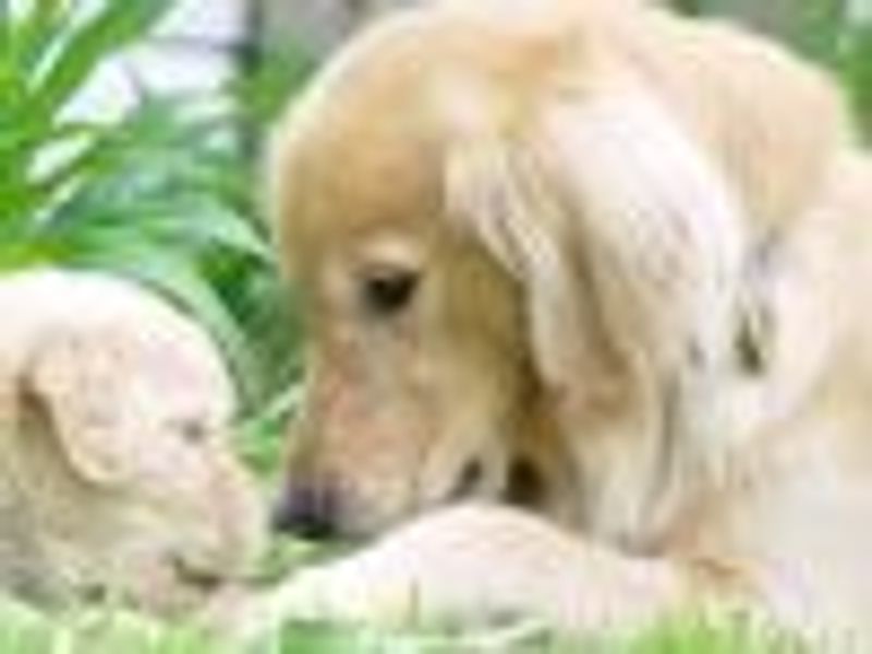 AshleyBrownFan123 profile photo