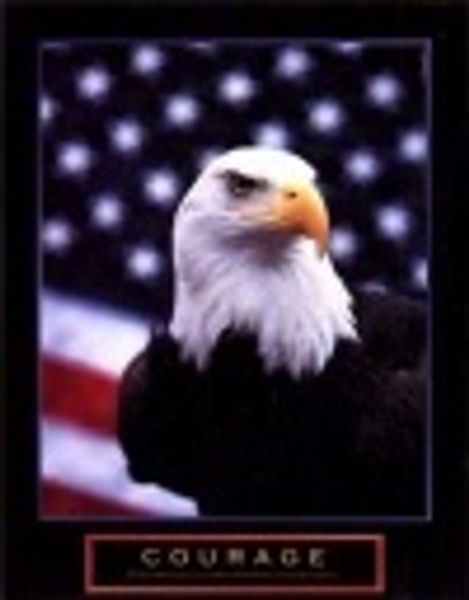 The Ninth Show profile photo