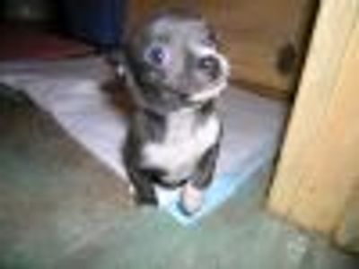 morethan just malice Profile Photo