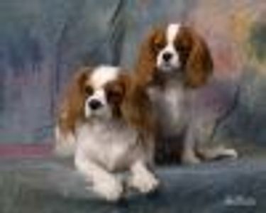 CaTheatreGirl Profile Photo