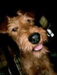 VivaLaConfusion Profile Photo