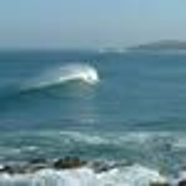 newone profile photo