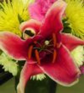 andiwillfollow Profile Photo