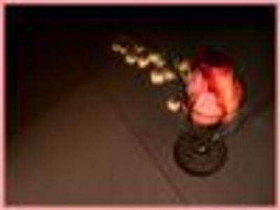 sparkleofenergy Profile Photo