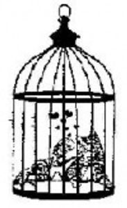 stargazer2 Profile Photo