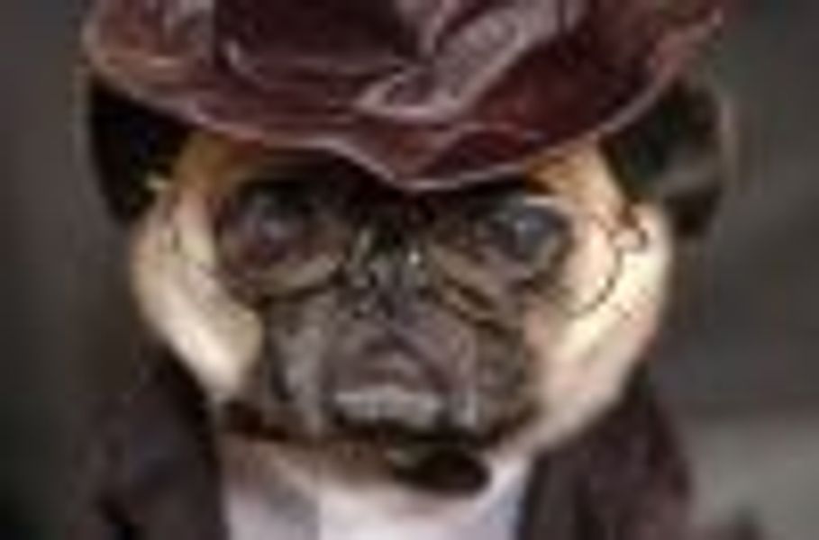 lifesacabaret profile photo