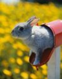 JingleBelle Profile Photo