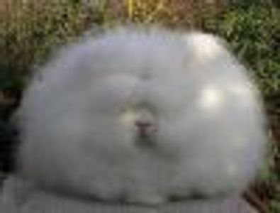 cotypubby Profile Photo
