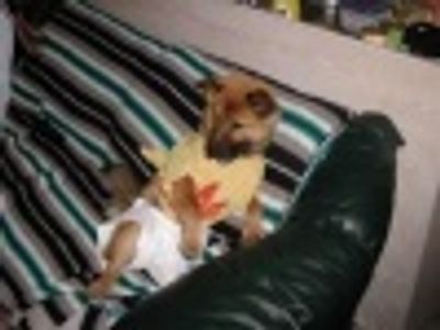 SamohSam Profile Photo