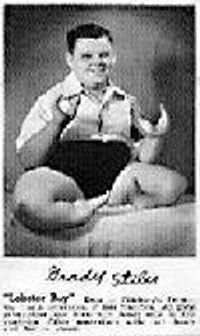 lobsterboy Profile Photo