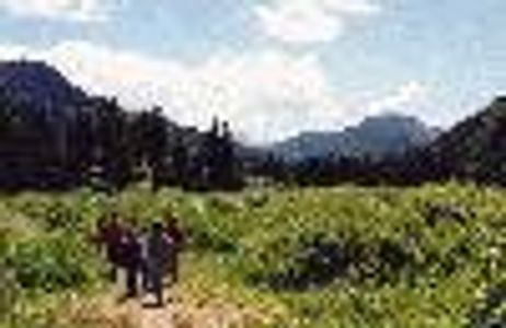 frizzle1288 Profile Photo