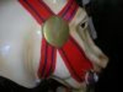 Andante Profile Photo