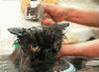 secondactor Profile Photo