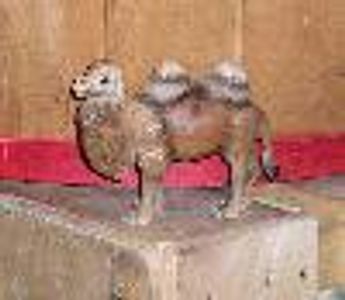 HumpersTheCamel Profile Photo