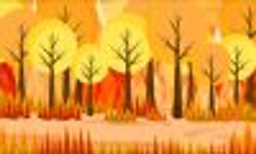 Homedecor22 Profile Photo