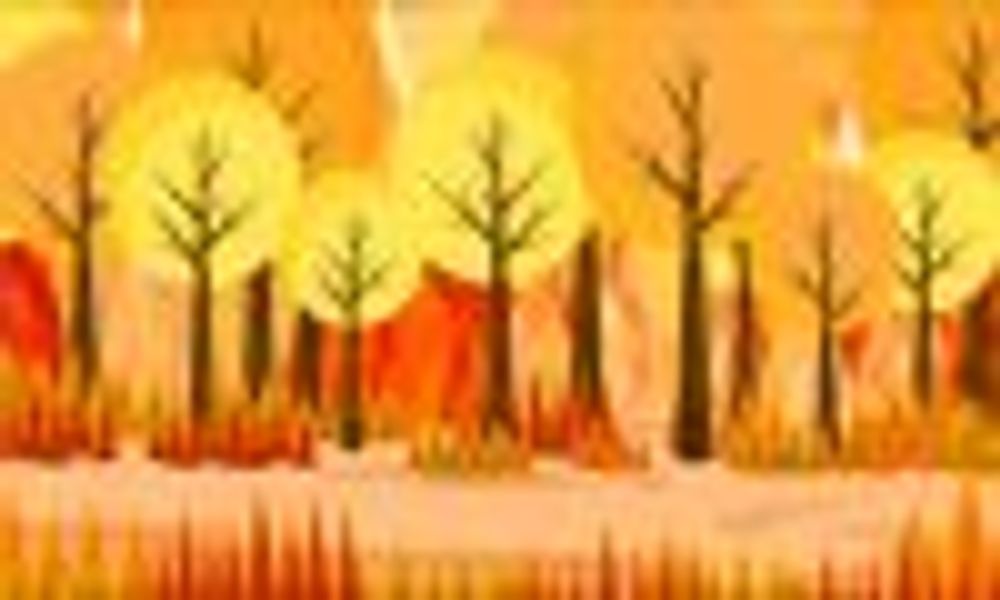 Homedecor22 profile photo