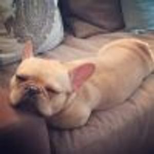 Jingjo2 Profile Photo