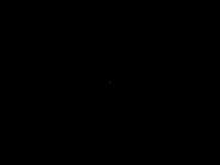 Testing1232 Profile Photo