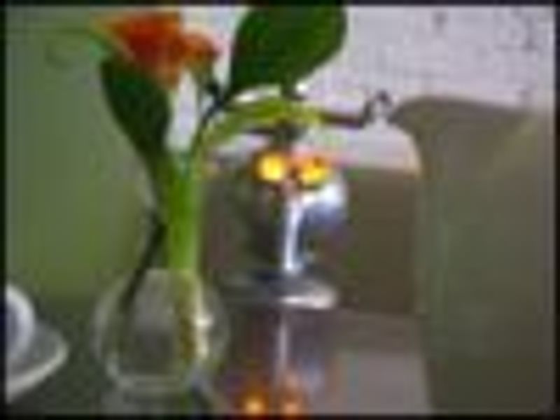 Emmy1234 profile photo