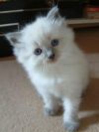 OMIGODYOUGUYS!!!!!!! Profile Photo