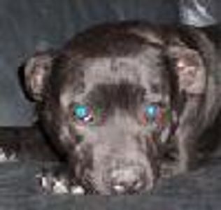 jazzmin42 Profile Photo