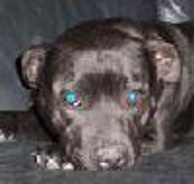 jazzmin42 profile photo