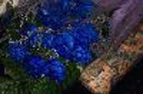 webmistress@jeffrey-carlson.co Profile Photo