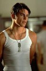 midnghtdolphin Profile Photo