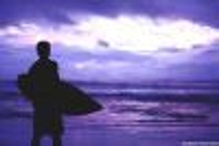 dadillymonster Profile Photo