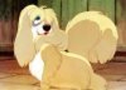 Yero my Hero Profile Photo