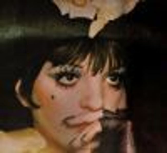 LizasColoredLights profile photo