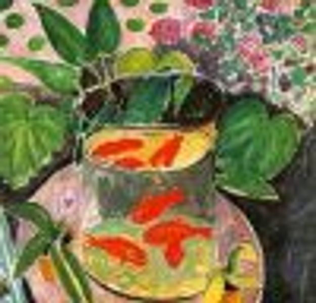 PetitPoisson profile photo