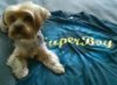 GatorNY Profile Photo