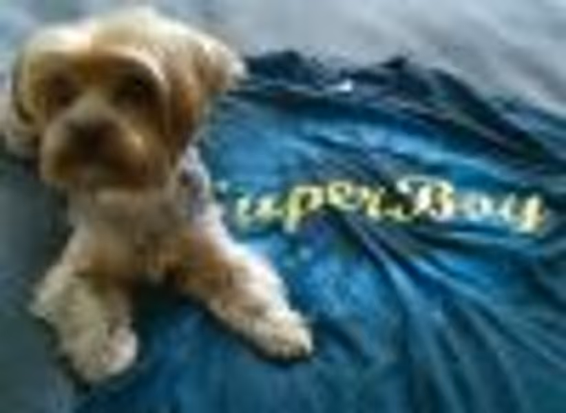 GatorNY profile photo
