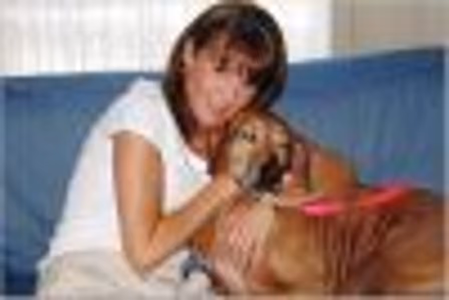 iluvmydog profile photo