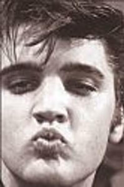 NCGuy profile photo