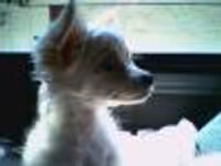 newsieboy23 Profile Photo